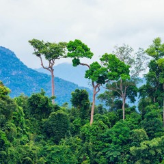 The World As We Knew It