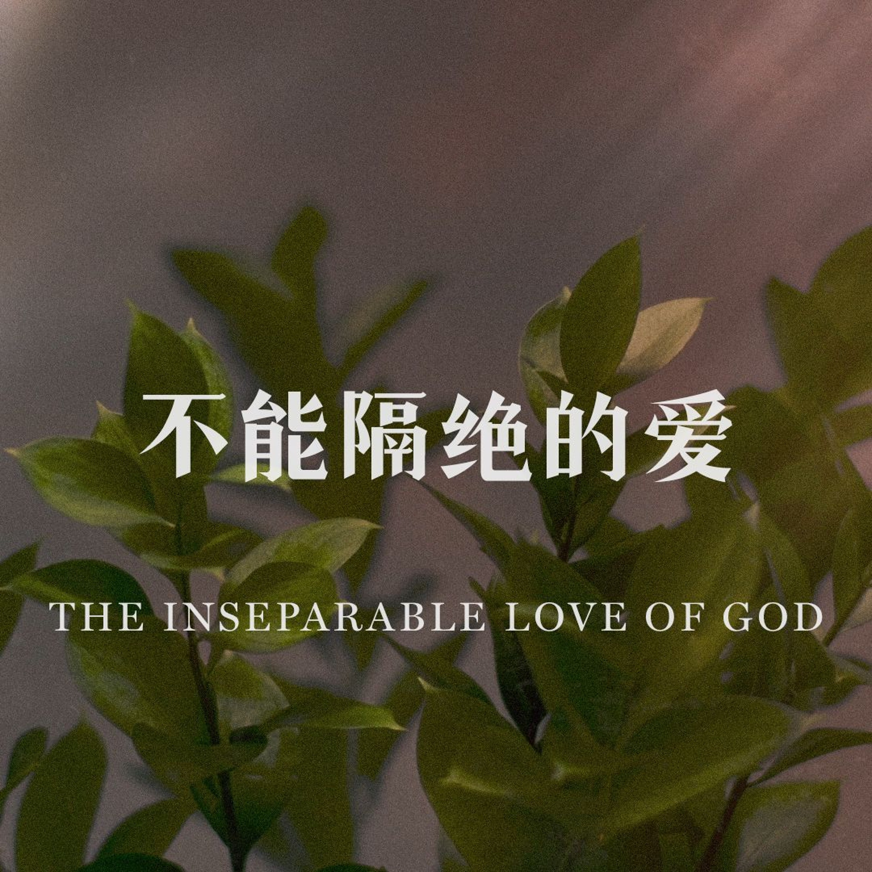 08/18/2024 【罗马书】不能隔绝的爱（罗 8:35-39）——王唯权 牧师 episode artwork