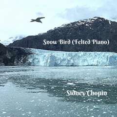 Snow Bird | Felted Piano | Sidney Chopin