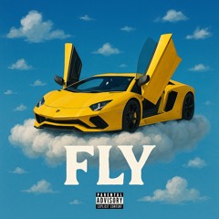 Fly