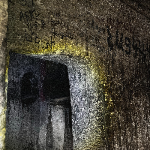 SIGNAL-MORPH [2019] - CELLO