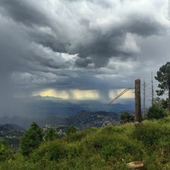 Episode 41: Gushing over the Monsoon