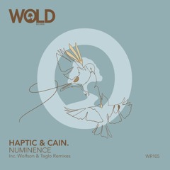 HAPTIC & CAIN. - Numinence "EP" Inc. WOLFSON & TAGLO Remixes