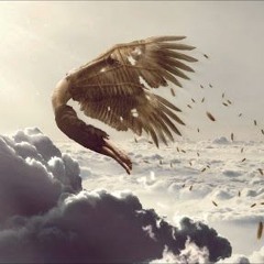 بسام حجار - صحبة الظلال