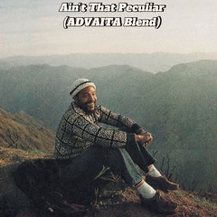 Marvin Gaye - Ain't That Peculiar (ADVAITA Blend)