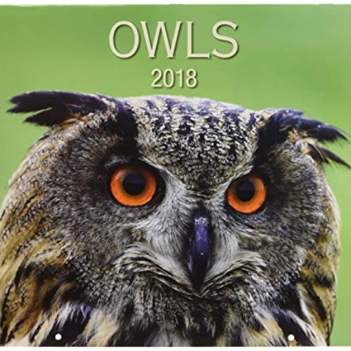 [View] EPUB 📩 Owls 2018 by  Firefly Books PDF EBOOK EPUB KINDLE