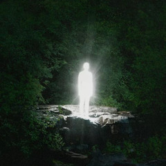 وتعـالي فـإنّني — لمْ أزلْ واقفًـا هُنـا .