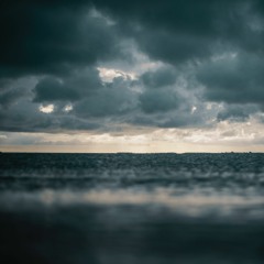 Purchasingly - Contain The Weather