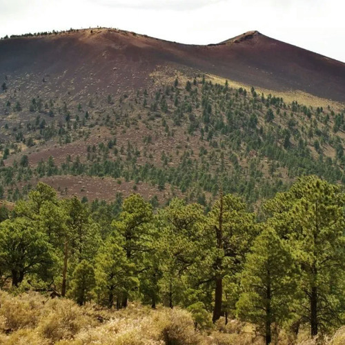 Sunset Crater Volcano National Monument