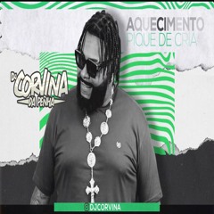 AQUECIMENTO PIQUE DE CRIA (DJ CORVINA DA PENHA )LANÇAMENTO 2K24