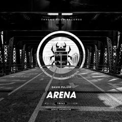 David Pulido - Arena (Drumsauw Remix)