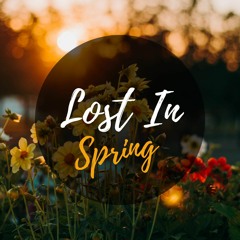 Lost In Spring
