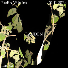 Lauden w/ Luuka @ Radio Vilnius (01.11.24)