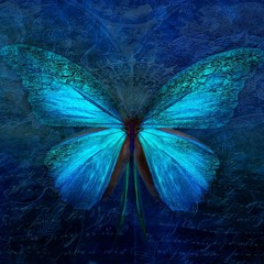 Butterfly (Progressive Trance)