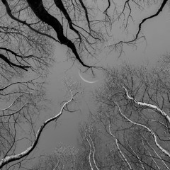 I Am The Moon