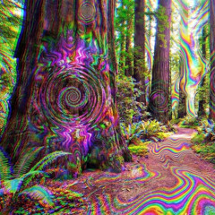 2026.03.03 PSYTERNET Dark Psy Night-Dark Forest Set by KOKOPELLI