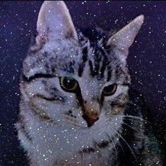 сова - первый снег