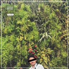 tropFUNKarrochadeira