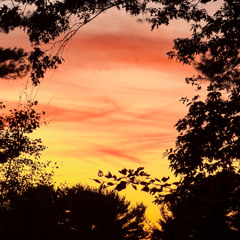 revolving around the sun