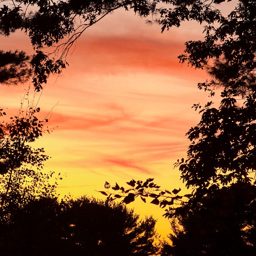 revolving around the sun