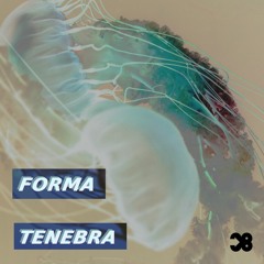 Forma Tenebra - Chłodna