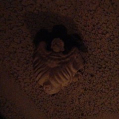 Call Dr.Alternatibo ep.1