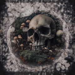 Live Or Die (feat. Jelly Roll)