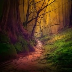The radical tragedy of nature seems to be the distinction of More and Less.