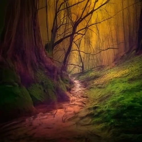 The radical tragedy of nature seems to be the distinction of More and Less.