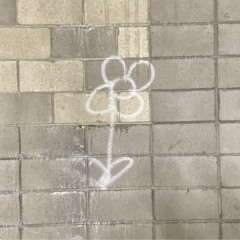 PU ft. Darion Lucere