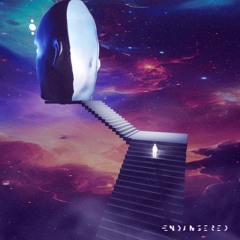 Brian Cid - Observe / Immerse In The Sound [Endangered]