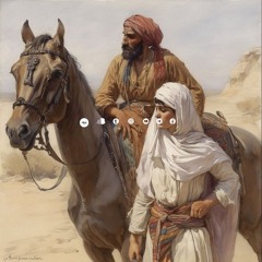 المؤنسة|زياد أيمن|صوتيّات حُبَابَة.