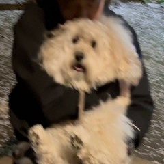 like i never even left