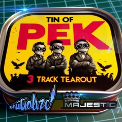DJ Initialize MC Majestic WJS 6 8 24 [3 Track Tearout]