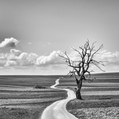 The Road Less Travelled
