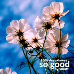 So Good By Smart 100% Deep 21#011