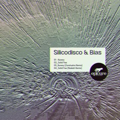PREMIERE: Silicodisco & Bias – Bunery (Zaratustra Remix) [Epicure Records]