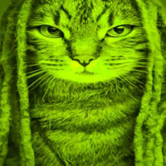 торгуем +ТоргашНаКвартале (prod. dj pinoplast)