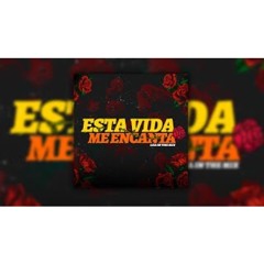 ESTA VIDA ME ENCANTA (Remix) - LEA IN THE MIX