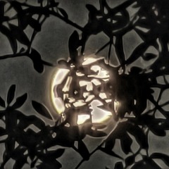 Raindrops in G# - Beaver Moon Eclipse Handpan Meditation