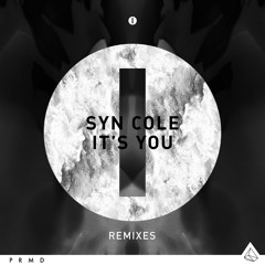 It's You (Broiler Remix Radio Edit)