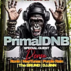Primal DnB - 4.19.25 @Capacity Social PDX
