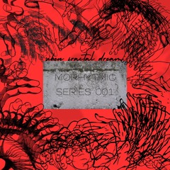 MORHYTMIC SERIES 001