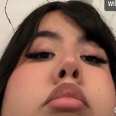 MICHELIN WOMAN (Ash Diss) (feat. Seh & Layla)