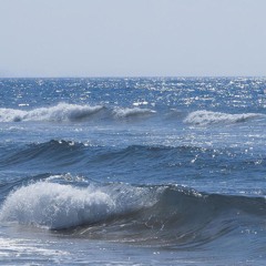 不期而遇的美好