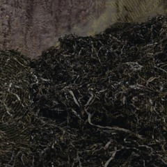 PREMIERE: Atypikal - Landing [Academeia Records]