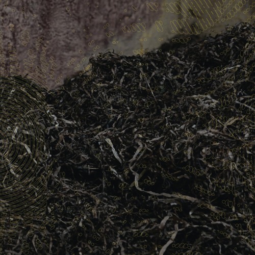 PREMIERE: Atypikal - Landing [Academeia Records]