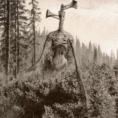 Sirens in the System