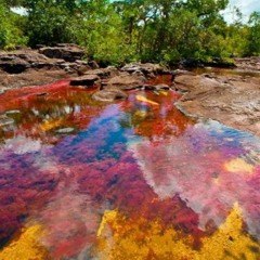 TIGERBLUD- Rainbow River