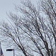 Plays (Prod..Takeoff)